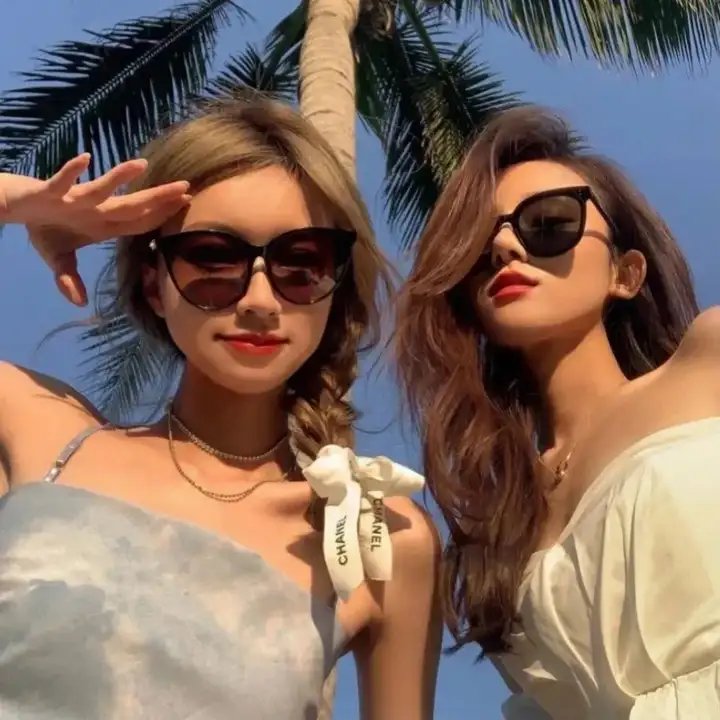羊与钢的森林